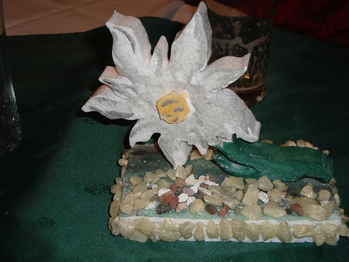 DSC09400.jpg