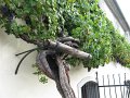 DSC05457